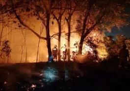 Kajang Prima