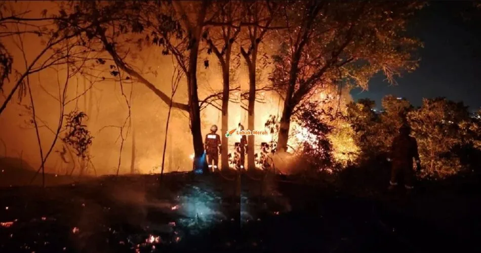 Hutan Seluas 1.2 Hektar Di Kajang Prima Terbakar