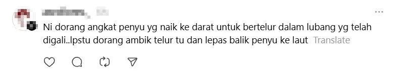telur 1