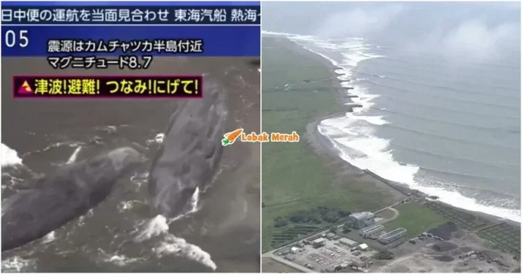 tsunami japan