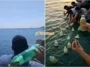 warga mesir hanyur botol ke laut untuk penduduk gaza