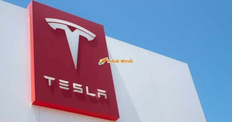 6tesla