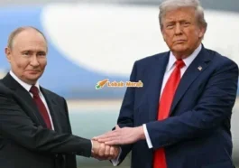 7trump