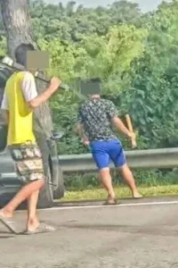 bergaduh acu kayu