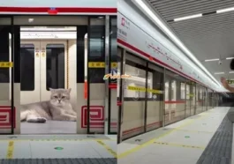 bina stesen kereta api mini untuk kucing