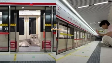 Stesen Kereta Api