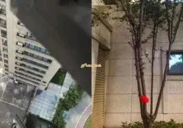 kanak kanak terjatuh dari bangunan di China