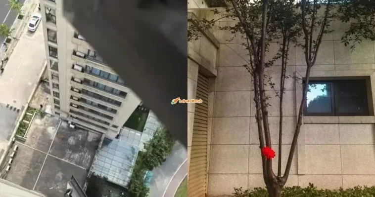 kanak kanak terjatuh dari bangunan di China