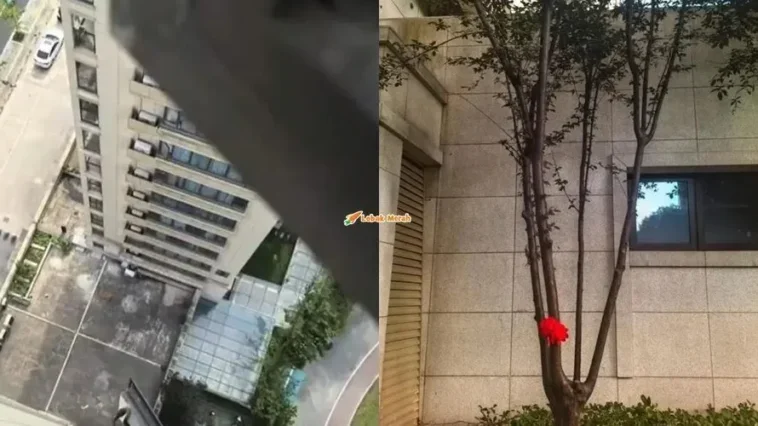 kanak kanak terjatuh dari bangunan di China