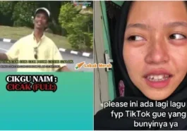 lagu cicak cikgu naim