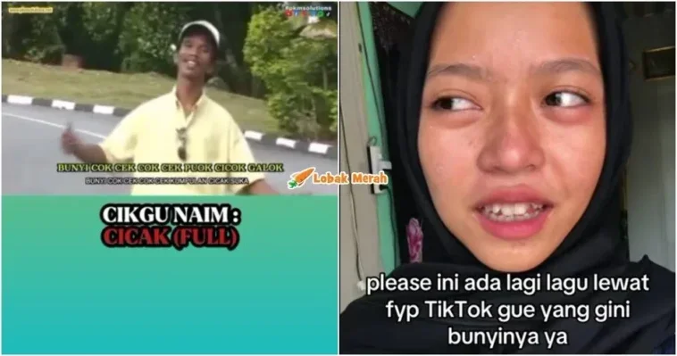 lagu cicak cikgu naim