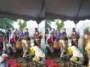 sengatan ubur ubur