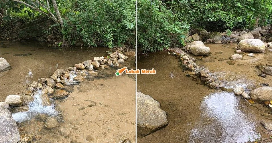 Hulu Sungai Sepatutnya Jadi ‘Safe House’ Ikan Sungai, Pakar Tegur Keburukan Buat ‘Empangan’ Dari Batu