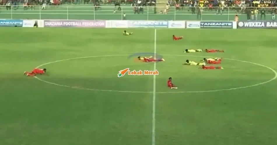 Terpaksa Meniarap Tengah Padang, Perlawanan Bola Sepak Terhenti Seketika Kerana Diserang Lebah
