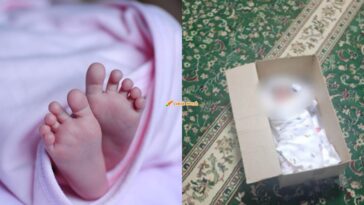 bayi ditemui dalam kotak di perhentian bas