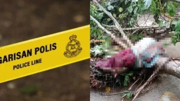 bungkusan mengandungi mayat ditemui