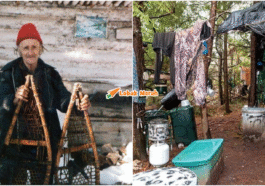 collage 15