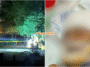 collage 22