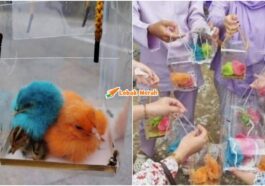 doorgift anak ayam berwarna