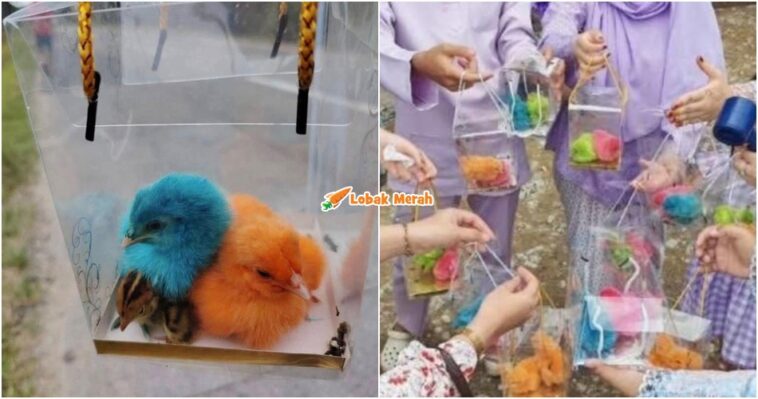 doorgift anak ayam berwarna
