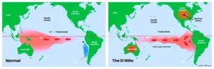 el ninp