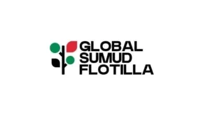 gsfff