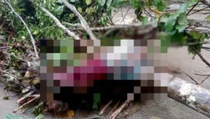 penemuan bungkusan mengandungi mayat