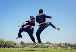 silat