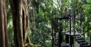 taman tugu