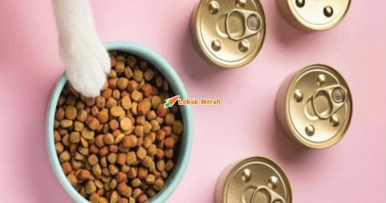 6makanan