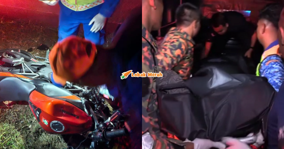Pegawai Bomba Tercampak Lepas Motosikal Ditunggang Langgar Kerbau Berkeliaran