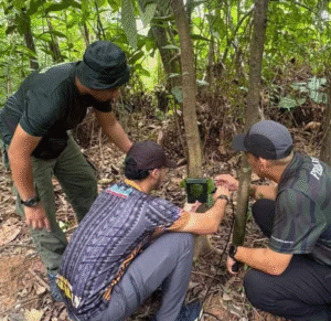 aduan harimau merayau ukay perdana