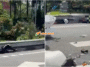 Anggota Trafik