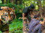 harimau