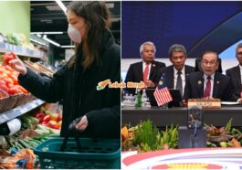 ft rizab perubatan asean