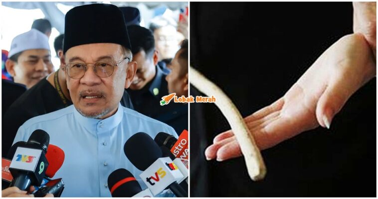 ft rotan