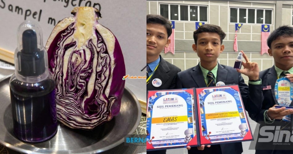 Pelajar Sekolah Di Kelantan Cipta Inovasi Berasaskan Kubis Ungu, Mampu Kesan Kewujudan Pewarna Tiruan Dalam Makanan