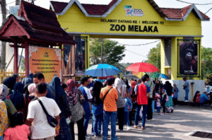 masuk percuma
