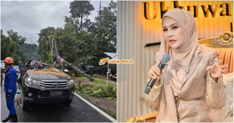 pokok tumbng staf bonda rozita