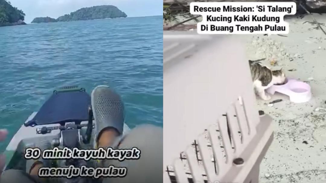 “Kurus, lapar, tempang pula…” – Lelaki Sanggup Redah Laut Demi Selamatkan Kucing Terperangkap Di Pulau
