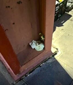 590029271 1469512295183541 9190127063502883406 n