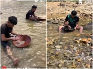 InShot 20251115 171716244 e17632