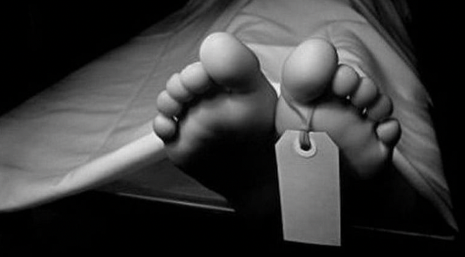 Screenshot 2025 11 02 at 12.03.56 PM