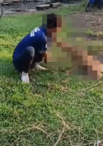 Screenshot 2025 11 14 162922