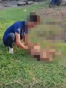 Screenshot 2025 11 14 163011