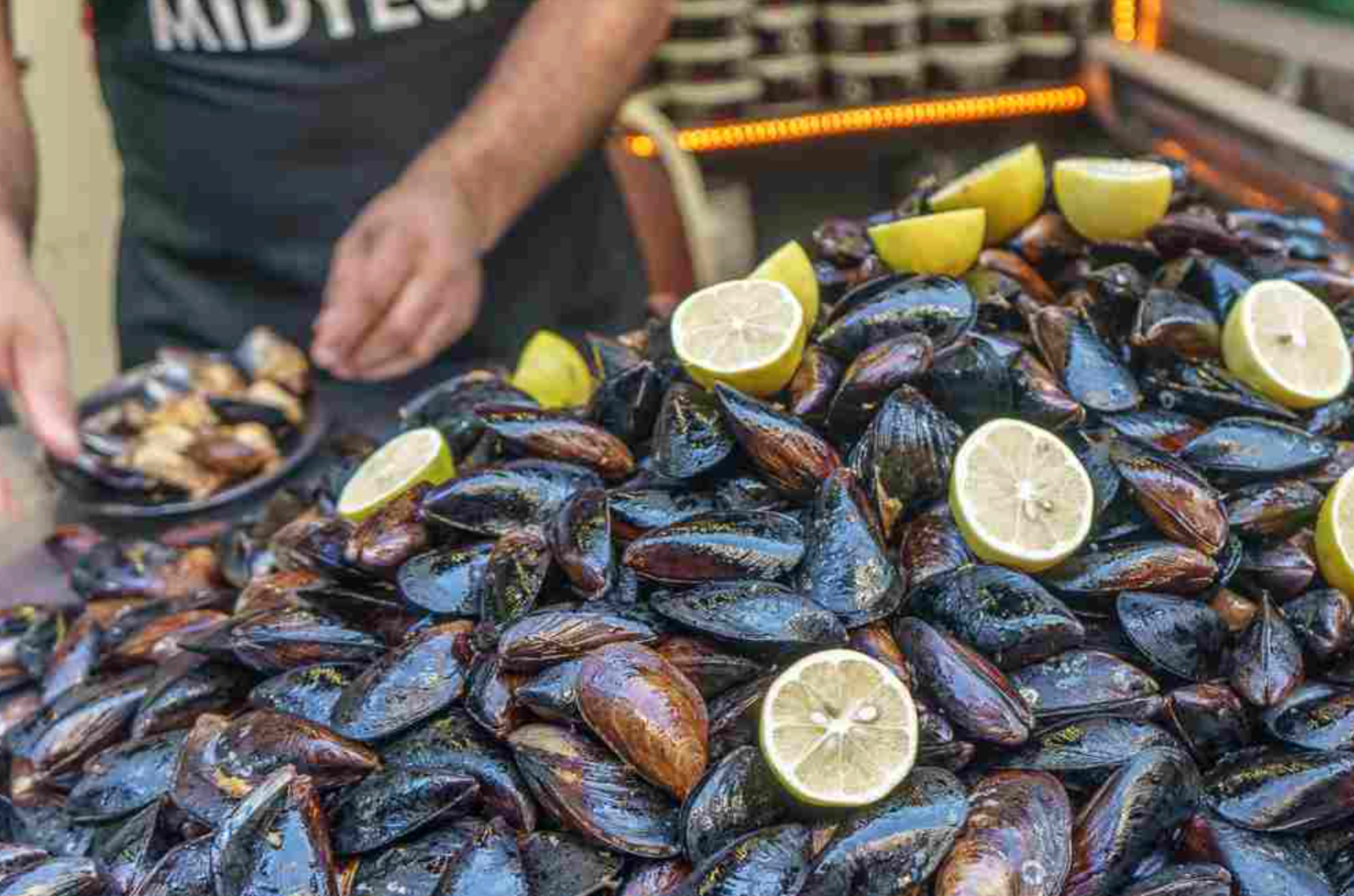 Screenshot 2025 11 16 at 1.15.04 PM