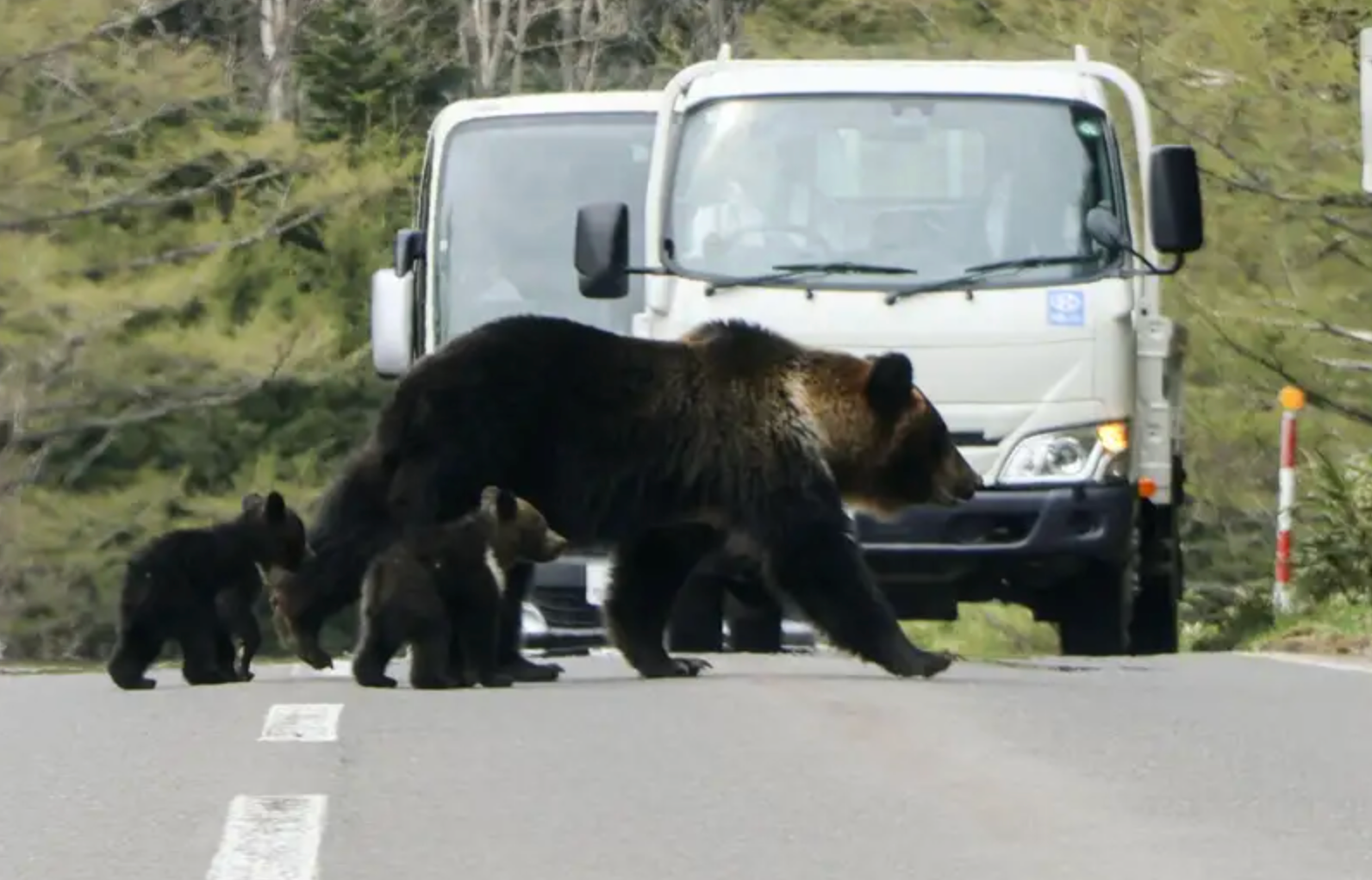 Screenshot 2025 11 16 at 12.19.10 PM