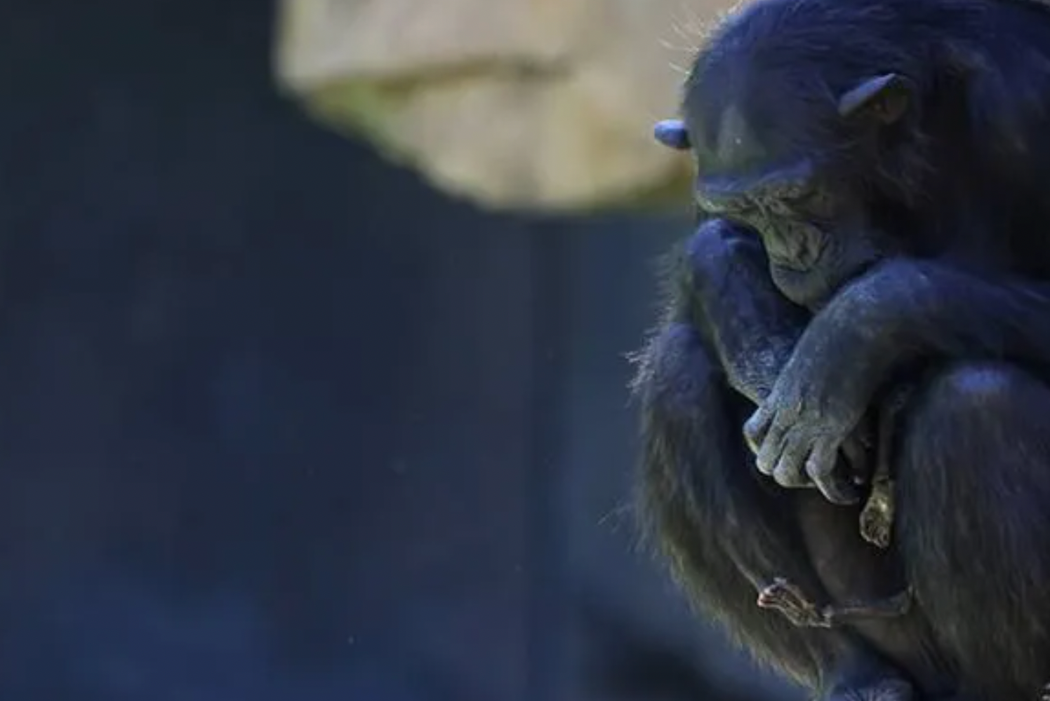 Screenshot 2025 11 23 at 1.18.23 PM