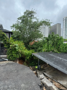 Screenshot 2025 11 24 151836