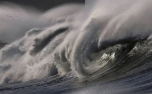 Screenshot 2025 11 27 174653